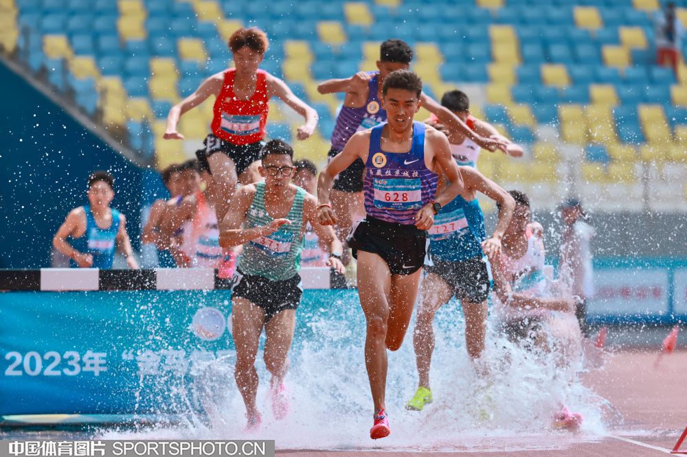 新生代选手 新生代选手