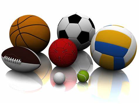 以专业性和 以专业性和