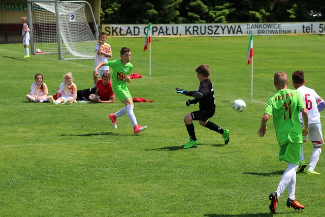 约基奇和湖 约基奇和湖