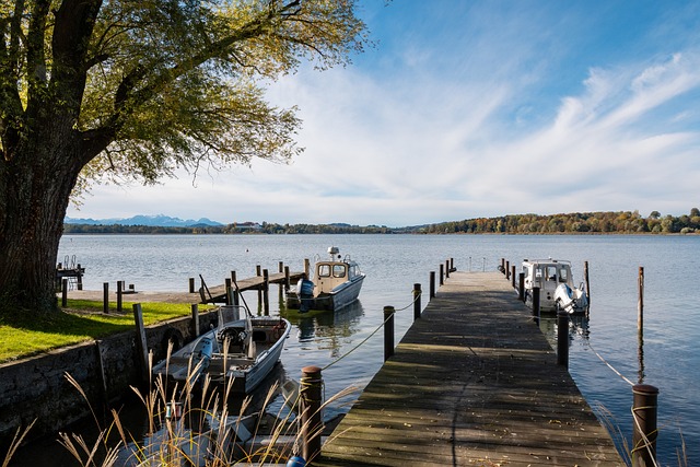 项运动的热 项运动的热